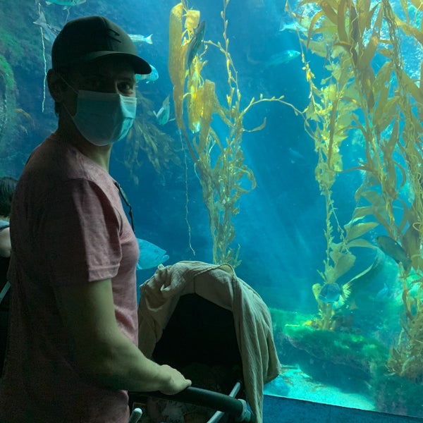 Photo taken at Birch Aquarium by Emily T. on 9/6/2022