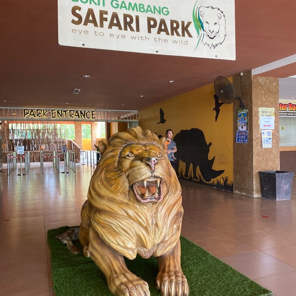 Bukit Gambang Safari Park 29 Tips From 1916 Visitors