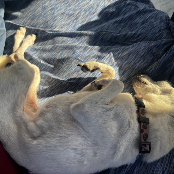 Sonora TX Safety Rest Area Eastbound Sonora, TX