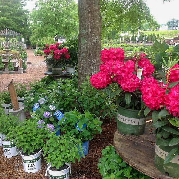 Long Hollow Gardens Nursery Garden Center In Gallatin