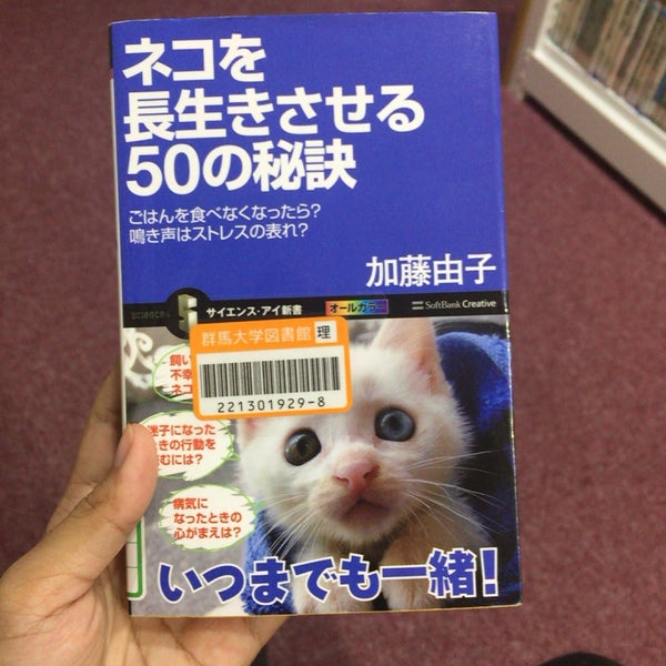 群馬大学 理工学図書館 College Library In 桐生市 群馬大学 理工学図書館 College Library In 桐生市