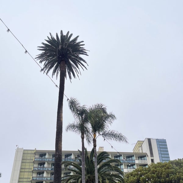 7/2/2023 tarihinde Eziyaretçi tarafından The Bungalow Santa Monica'de çekilen fotoğraf