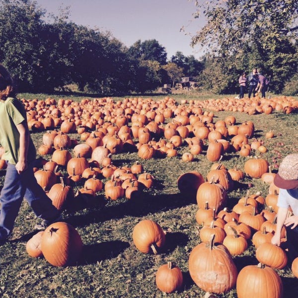 Photo taken at Indian Creek Farm by Hillary B. on 10/11/2015