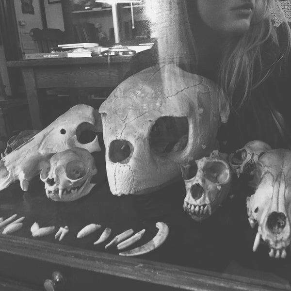 Photo taken at Morbid Anatomy Museum by brittany j. on 2/3/2016