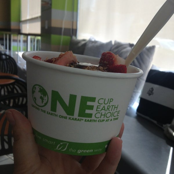 Hot & Cold Frozen Yogurt and Coffee (Now Closed) Elmhurst 3 tips