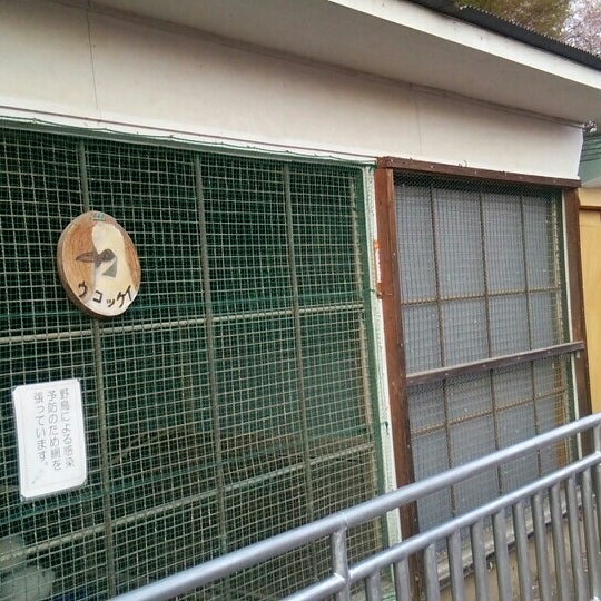Fotos Em 沼田公園の動物小屋 沼田市 沼田市 群馬県 Fotos Em 沼田公園の動物小屋 沼田市 沼田市 群馬県