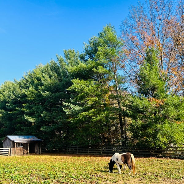 Chapel Hills Farm & Nursery Perry Hall, MD