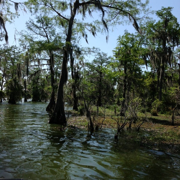 Das Foto wurde bei Cajun Country Swamp Tours von Viviane R. am 4/21/2013 aufgenommen