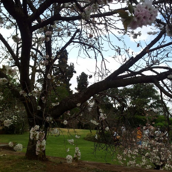 Rose Gardens Johannesburg Fasci Garden
