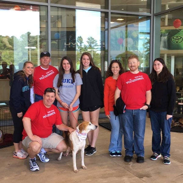 Stevenson Toyota Car Dealership in Jacksonville