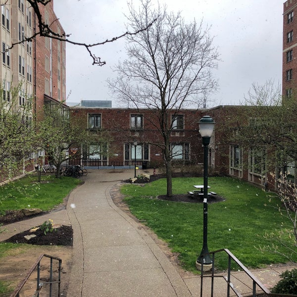 Kings university belfast. озеленение школьного двора. студенческий сад. аймсбюттель фото города. озеленение территории школы.