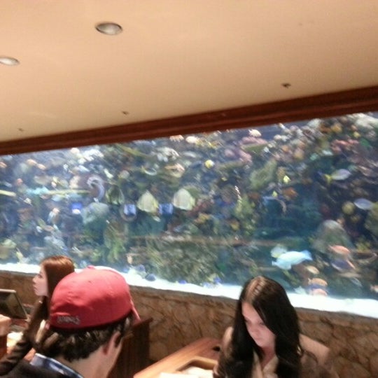 1/18/2013にJake S.がThe Mirage Aquariumで撮った写真