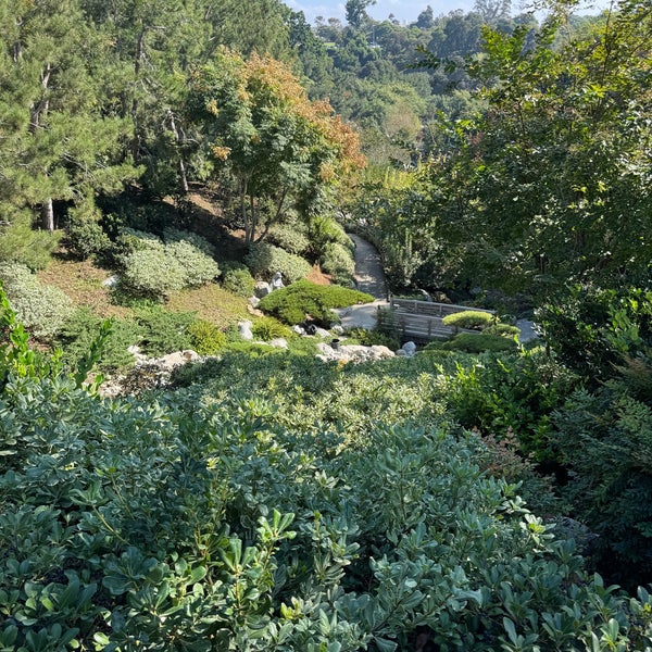 Photo prise au Japanese Friendship Garden par Charleen M. le11/17/2023