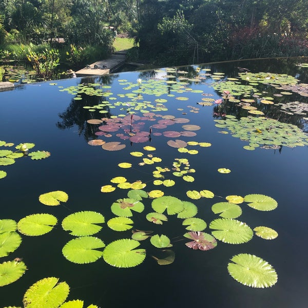 Photo taken at Naples Botanical Garden by Linda S. on 11/25/2019