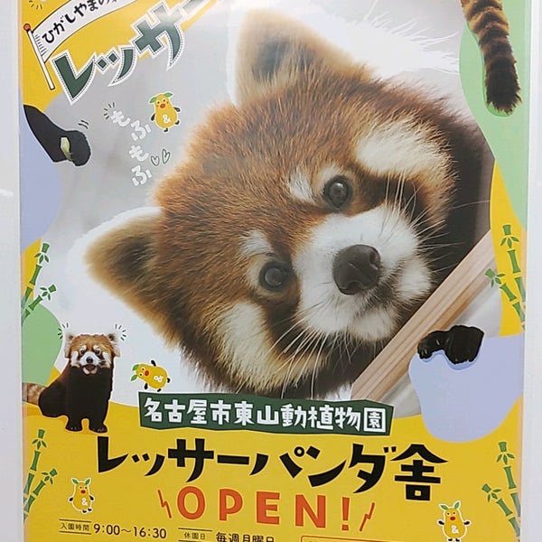 東山動物園 ライオン舎 千種区 3個のtips
