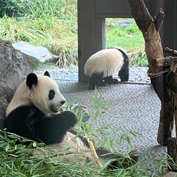 Photos at Panda Garden Buffet - Chinese Restaurant