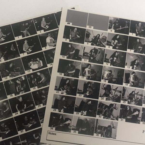 Panda Lab Lower Queen Anne 533 Warren Ave N