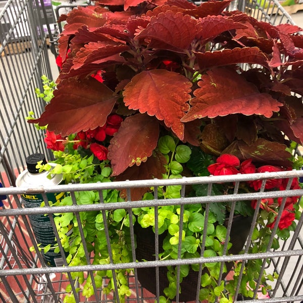 Lowe's 165 Camp Creek Parkway