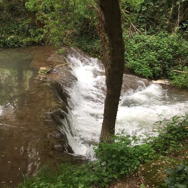 5/4/2015 tarihinde Evgen S.ziyaretçi tarafından Parque Natural del Monasterio de Piedra'de çekilen fotoğraf