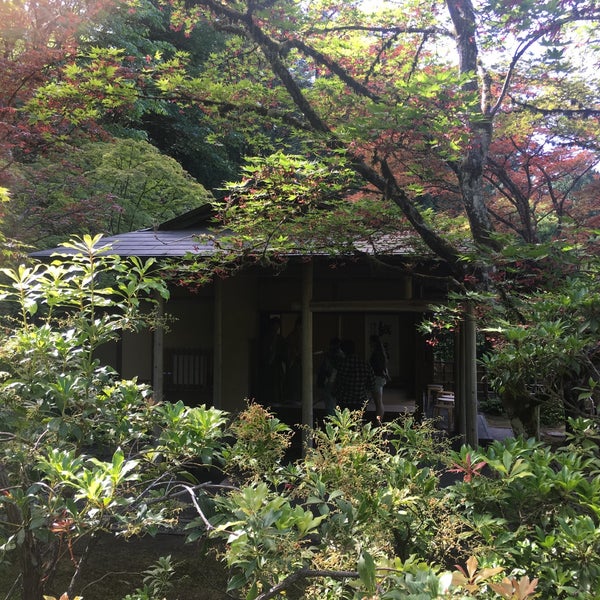 Japanese Tea House Capitol Hill Seattle, WA
