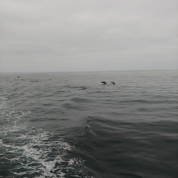 Foto diambil di Davey&#39;s Locker Sport Fishing &amp; Whale Watching oleh Brigette pada 7/8/2023