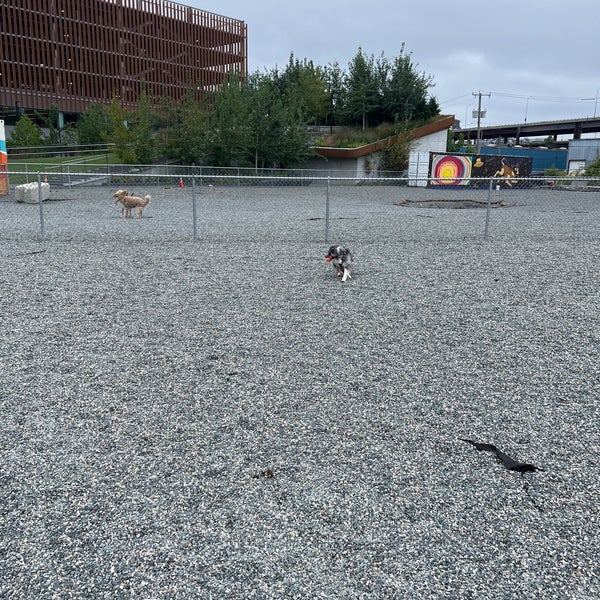 Hood Dog Park Charlestown 4 visitors