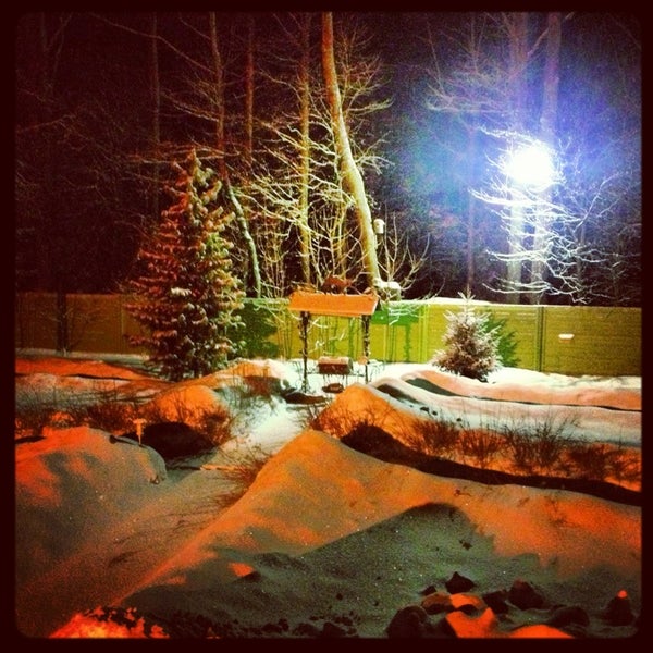 Ручей тушканчик ергаки. Сосновый лес река липовка. Сосново ручьи. Бор сосновый лесное озеро. Сосново ручьи.