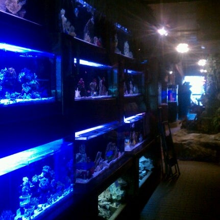 Photo taken at Old Town Aquarium by Samantha R. on 11/5/2012