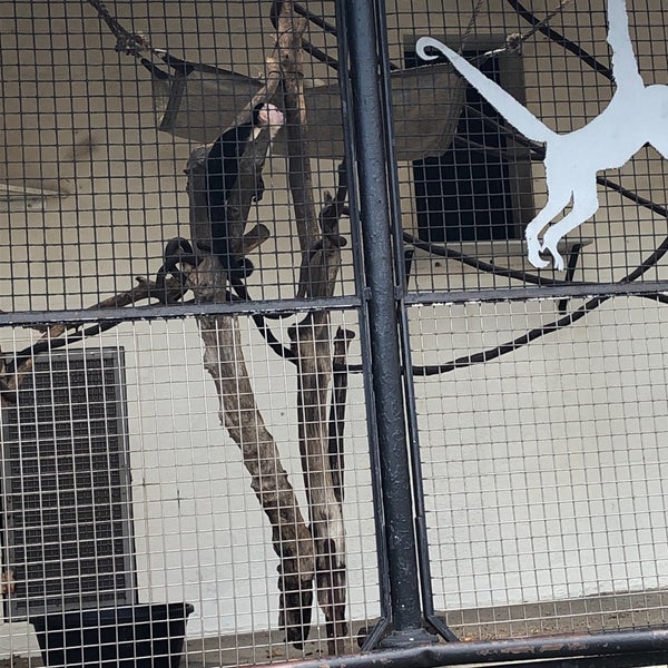 Monkey House Zoo Exhibit in Bronx Park