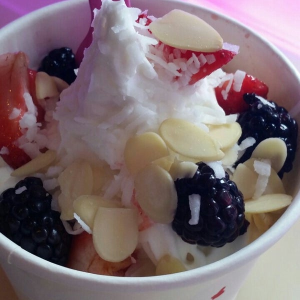 Mochi Frozen Yogurt Frozen Yogurt Shop in Gainesville