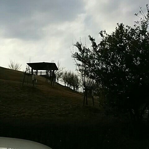 Photos At 田辺公園 花見山 京田辺市 京都府