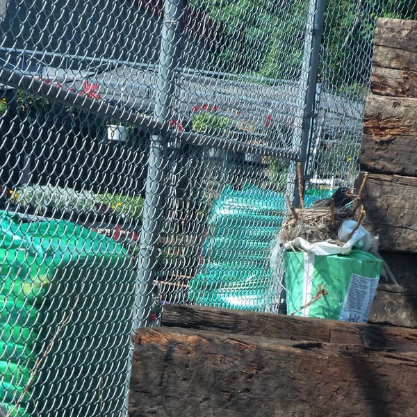 Busy Beaver - Hardware Store