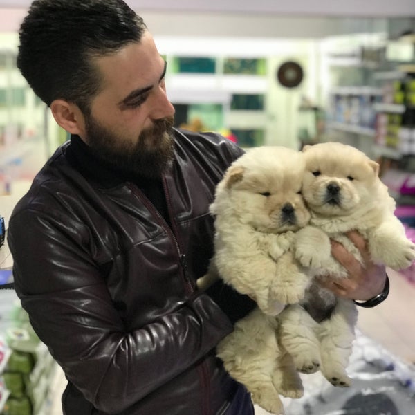 yine de sosyalizm hurda tom jerry pet shop dede Emek sömürge