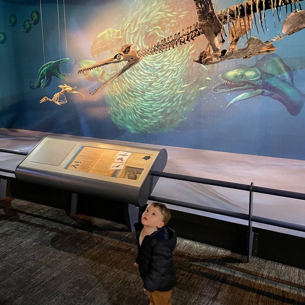 รูปภาพถ่ายที่ Carnegie Museum of Natural History โดย Wm B. เมื่อ 1/30/2021