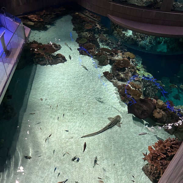 Foto diambil di National Aquarium oleh Wm B. pada 7/11/2023
