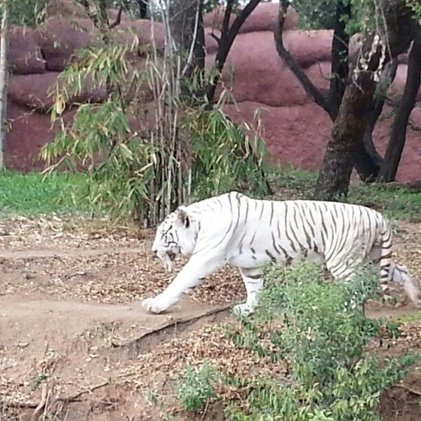 Nehru Zoological Park - Hyderabad, Telangana Nehru Zoological Park - Hyderabad, Telangana