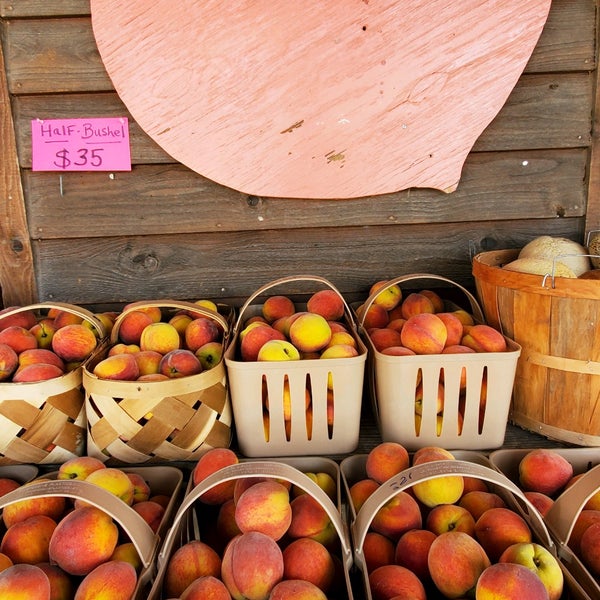 Peaches N Cream Wadesboro, NC