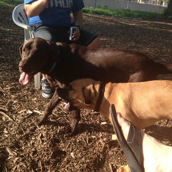 Frenchtown Dog Park Dog Park in Soulard