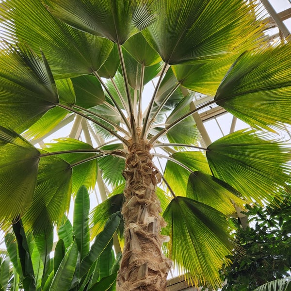 Photo taken at Franklin Park Conservatory and Botanical Gardens by Ronald👽 S. on 1/2/2023