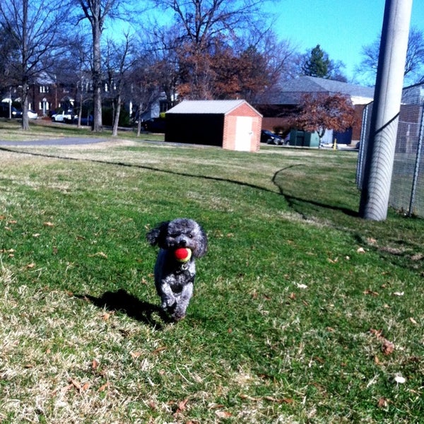 Photos at Quincy Park Park in Arlington