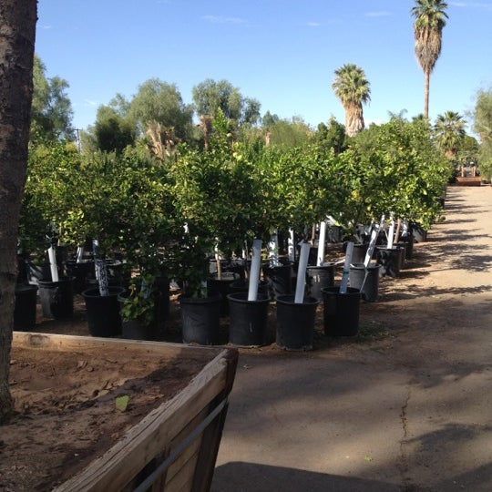 Photos At Whitfill Nursery Camelback East Phoenix Az Photo Taken At Whitfill Nursery By Liberty T On 10 21 2017