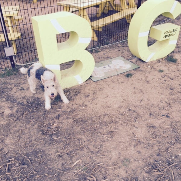 7/4/2015에 Guy🇬🇧 G.님이 Mutts Canine Cantina에서 찍은 사진
