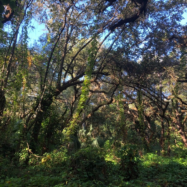 Kendall Indian Hammocks County Park Miami, FL