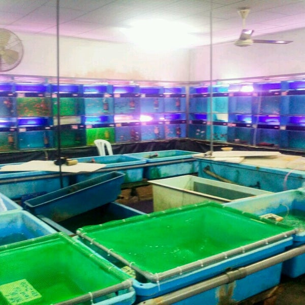 Photos At 南洋鱼场 Nanyang Fish Farm 1 Tip