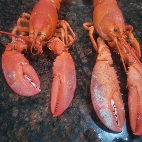 Bar Harbor Seafood Seafood Restaurant in Orlando