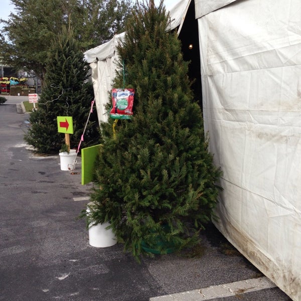 Lowe's Hardware Store in Zephyrhills
