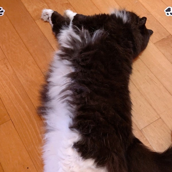 Photos At 太陽の森 ディマシオ美術館 新冠町 北海道