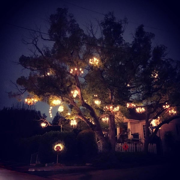 Photos at Chandelier Tree Tree in Silver Lake