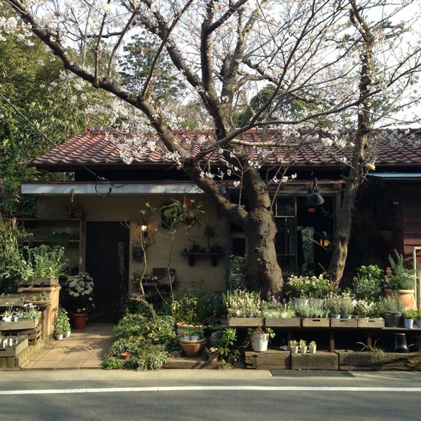 草花屋 苔丸 鎌倉市 神奈川県 草花屋 苔丸 鎌倉市 神奈川県