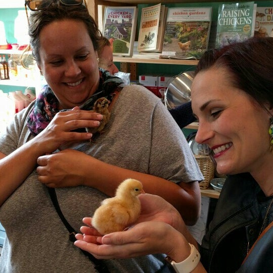 EggPlant Urban Farm Supply Merriam Park East 6 tips